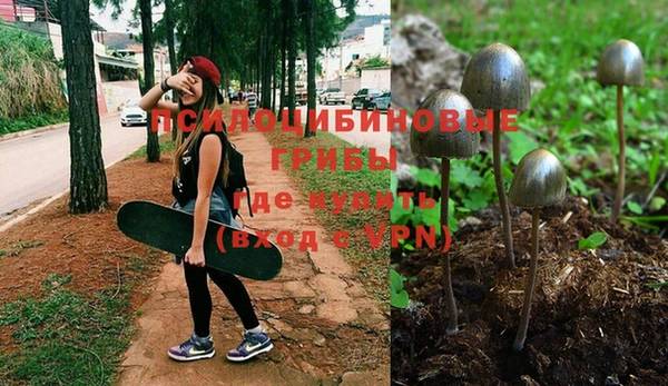 гашишное масло Верея