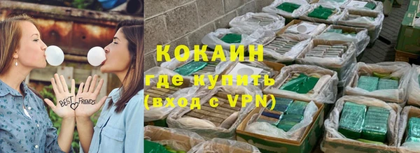 гидра Володарск